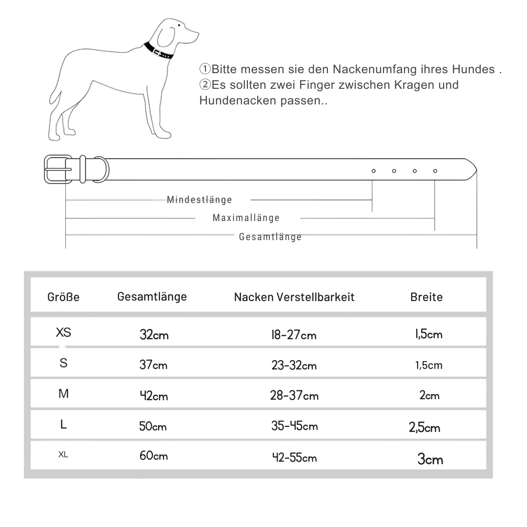 Exklusives Hundehalsband